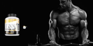 Best Isolate Protein - Muscle Ammo